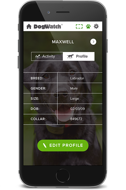 DogWatch Down East, Greenville, North Carolina | SmartFence WebApp Image