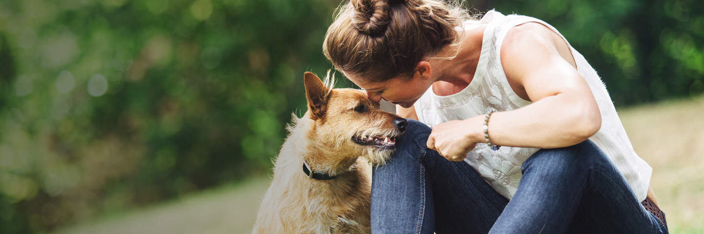 DogWatch Down East, Greenville, North Carolina | BarkCollar No-Bark Trainer Slider Image